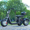 Off Road 3 Wheels Fat Tire Scooter Trike EEC COC 2000W Motor