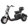 Off Road 3 Wheels Fat Tire Scooter Trike EEC COC 2000W Motor