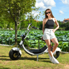 USA lager elektrisk Fat Tire Scooter 1500w 48v 20ah med Big Seat utan logotyp