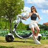 USA lager elektrisk Fat Tire Scooter 1500w 48v 20ah med Big Seat utan logotyp