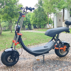 USA lager elektrisk Fat Tire Scooter 1500w 48v 20ah med Big Seat utan logotyp