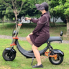 USA lager elektrisk Fat Tire Scooter 1500w 48v 20ah med Big Seat utan logotyp